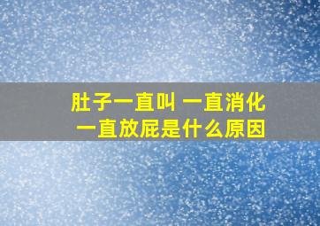 肚子一直叫 一直消化 一直放屁是什么原因